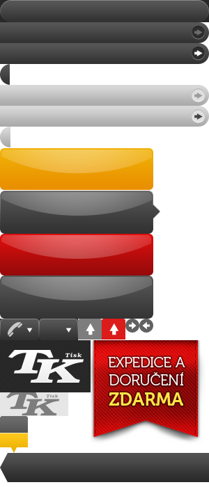 Primary Raster logo